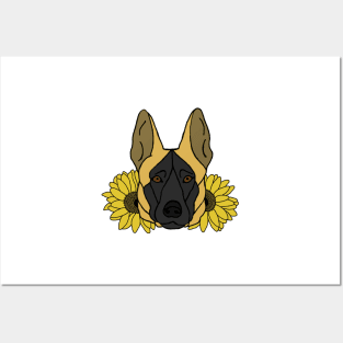 Fawn Shepherd/Malinois with Sunflowers Posters and Art